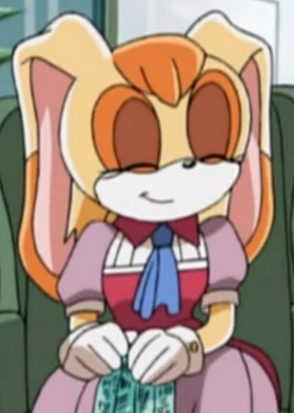 Vanilla the Rabbit (Sonic X) photo