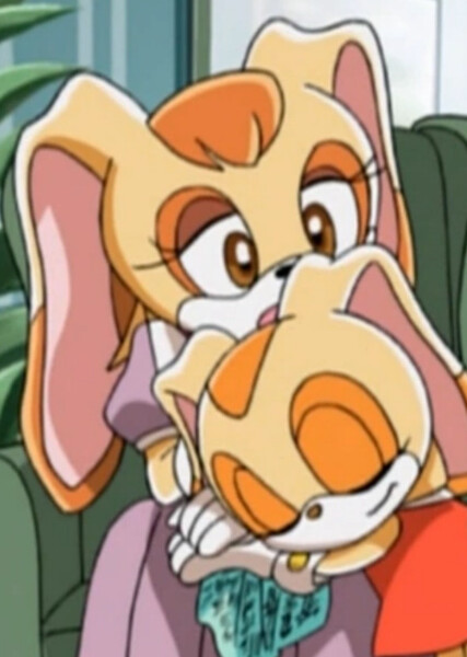 Vanilla the Rabbit (Sonic X) photo