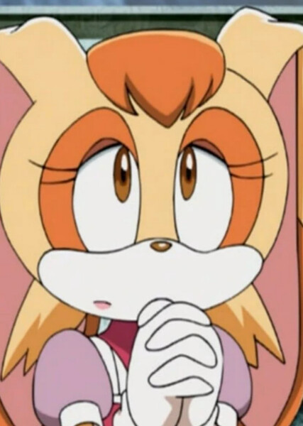 Vanilla the Rabbit (Sonic X) photo