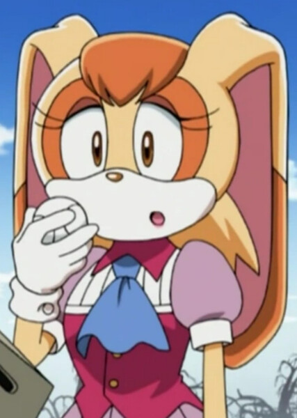 Vanilla the Rabbit (Sonic X) photo