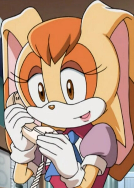 Vanilla the Rabbit (Sonic X) photo