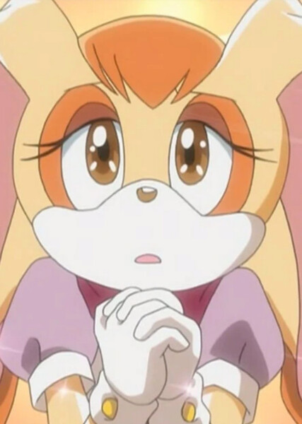 Vanilla the Rabbit (Sonic X) photo
