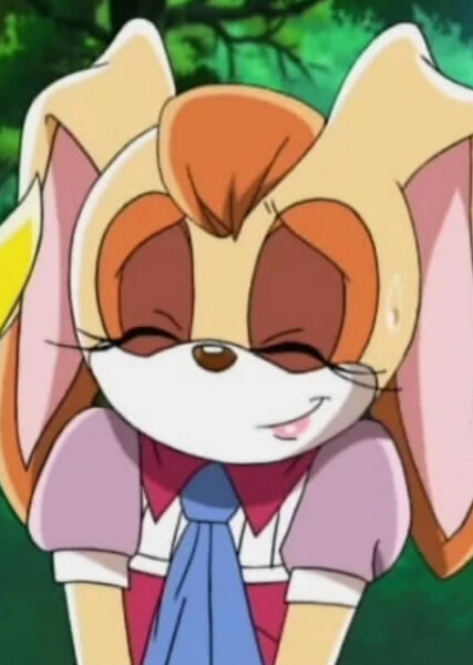 Vanilla the Rabbit (Sonic X) photo