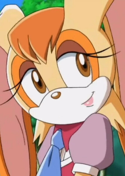 Vanilla the Rabbit (Sonic X) photo