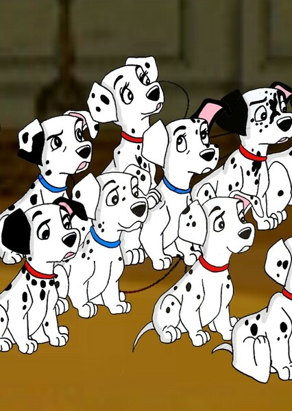 Various Puppies photo