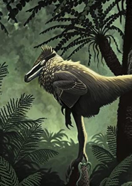 Variraptor