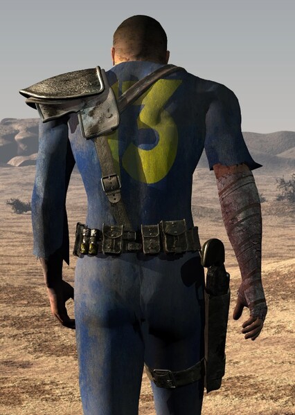 Vault Dweller