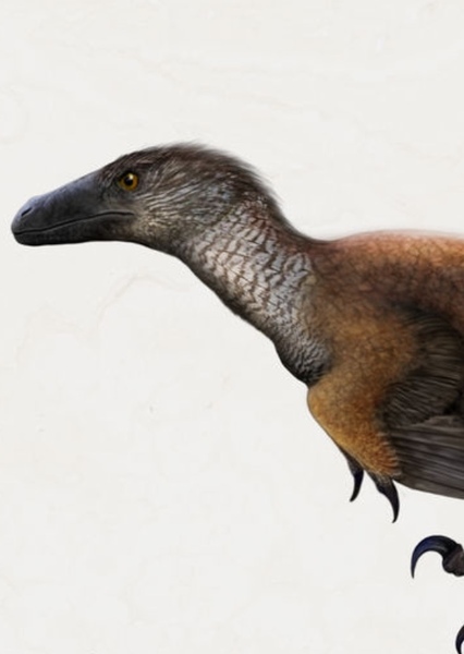 Vectiraptor photo