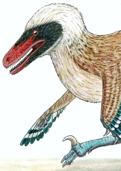 Vectiraptor