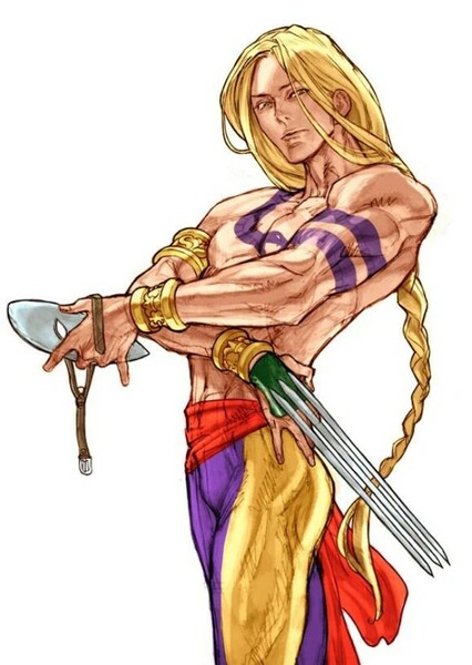 Vega (Street Fighter) photo