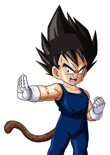 Vegeta photo