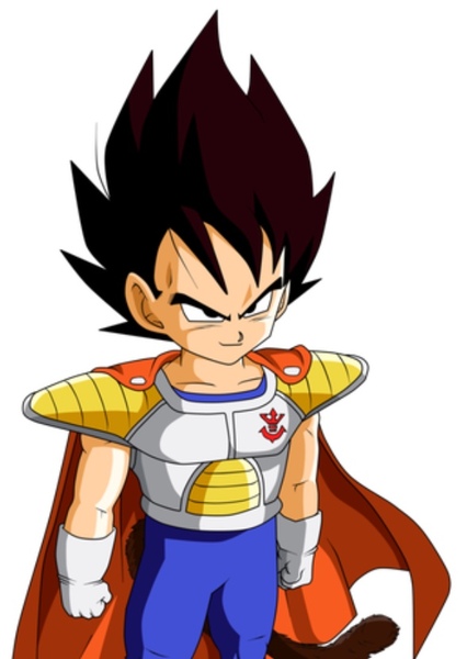 Vegeta photo