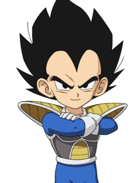 Vegeta photo