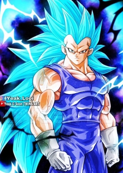 Vegeta photo