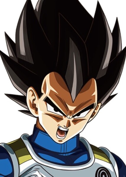Vegeta photo