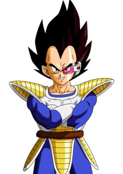 Vegeta photo