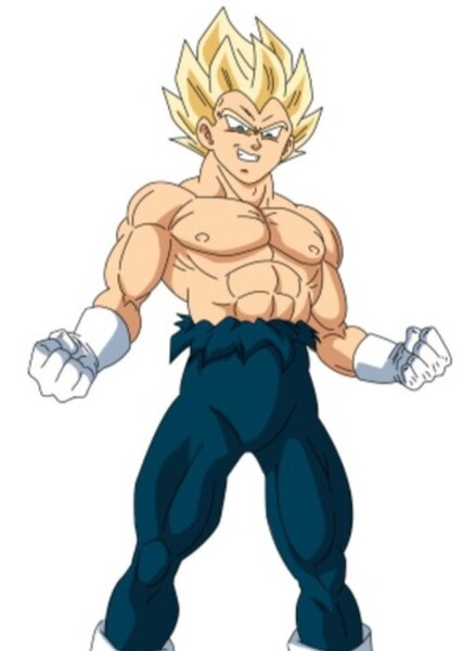 Vegeta photo