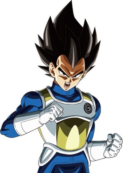 Vegeta photo