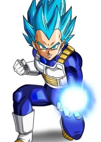 Vegeta photo
