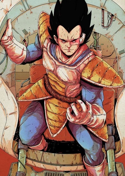 Vegeta photo