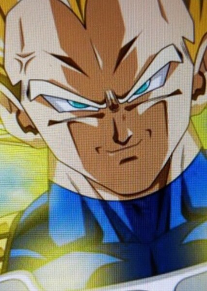 Vegeta photo