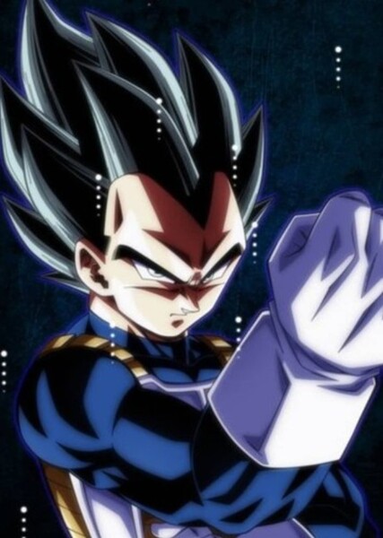 Vegeta photo