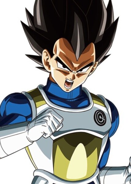 Vegeta photo