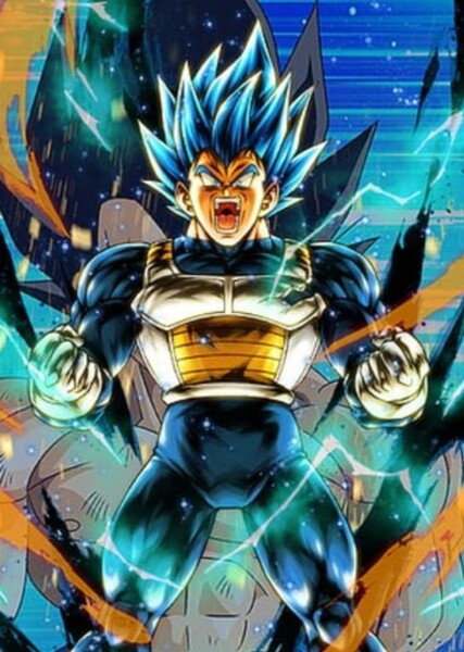 Vegeta photo
