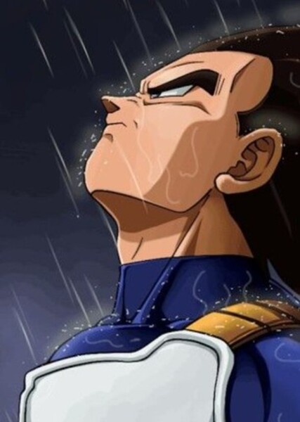 Vegeta photo