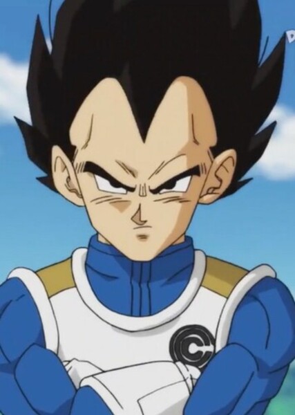 Vegeta photo