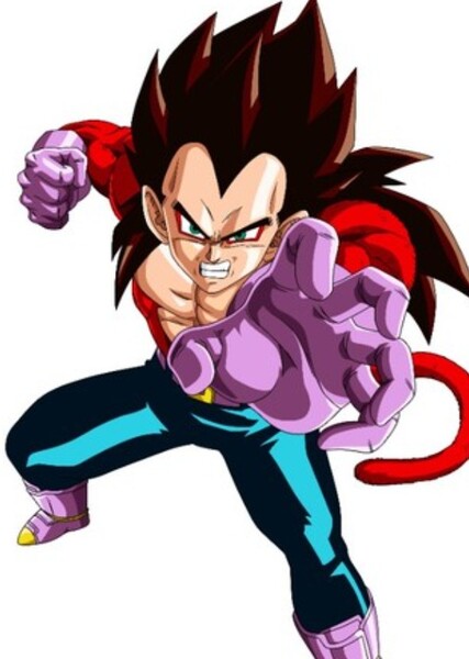 Vegeta photo