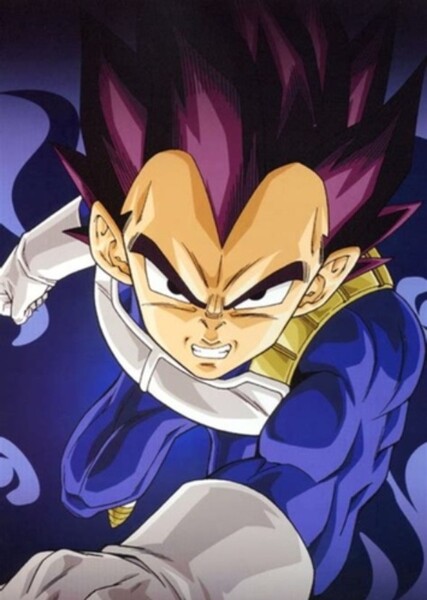 Vegeta photo