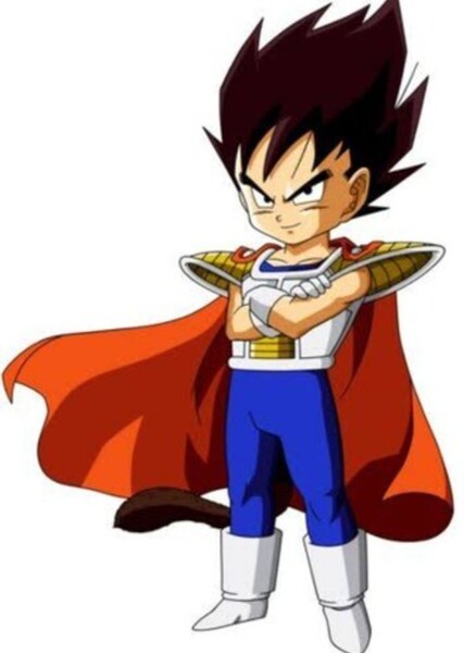 Vegeta photo