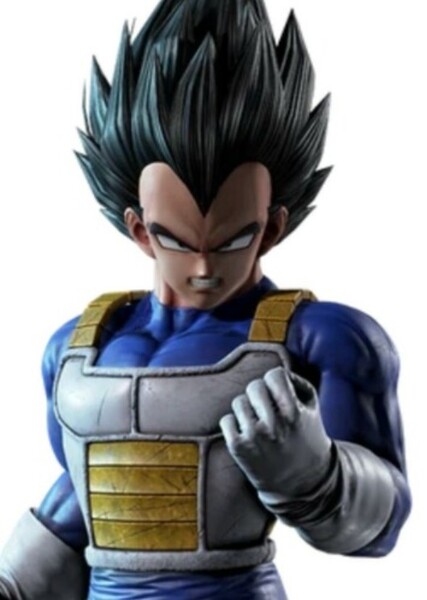 Vegeta photo