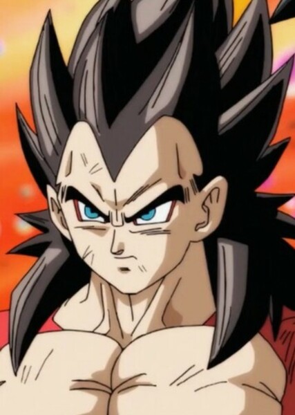 Vegeta photo