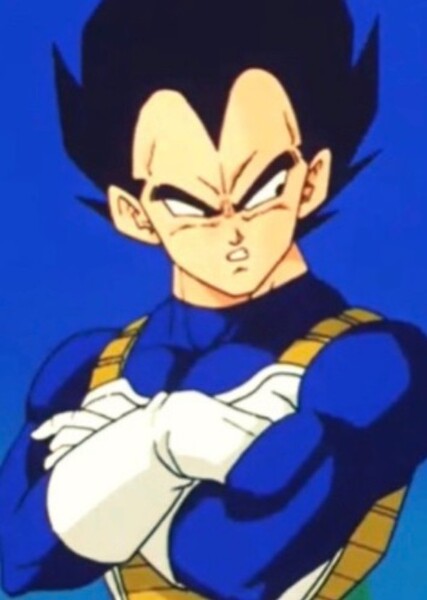 Vegeta photo