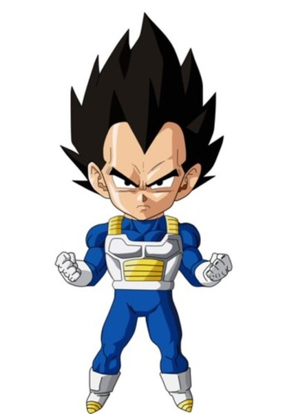 Vegeta photo