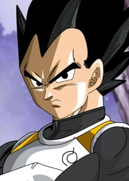 Vegeta photo