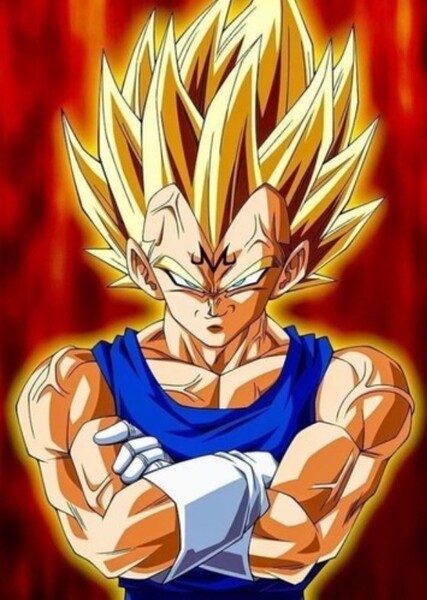 Vegeta photo