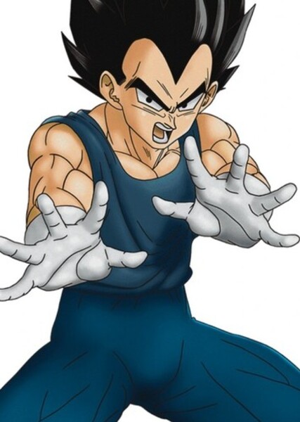 Vegeta photo