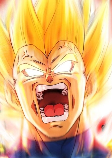Vegeta photo