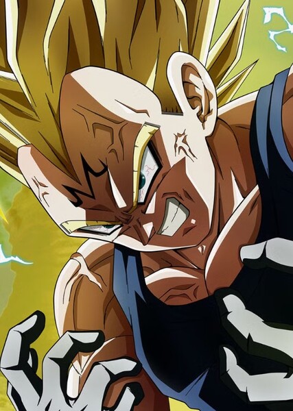 Vegeta photo