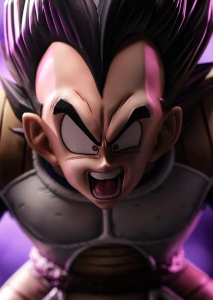 Vegeta photo