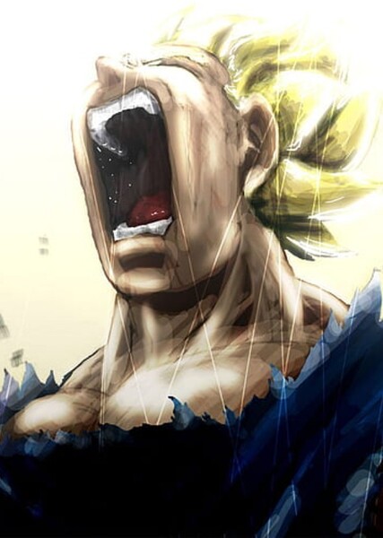Vegeta photo