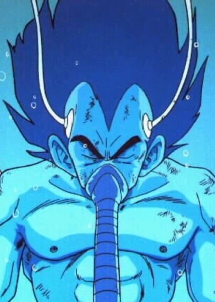 Vegeta photo