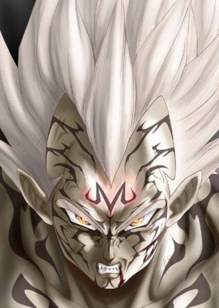 Vegeta photo