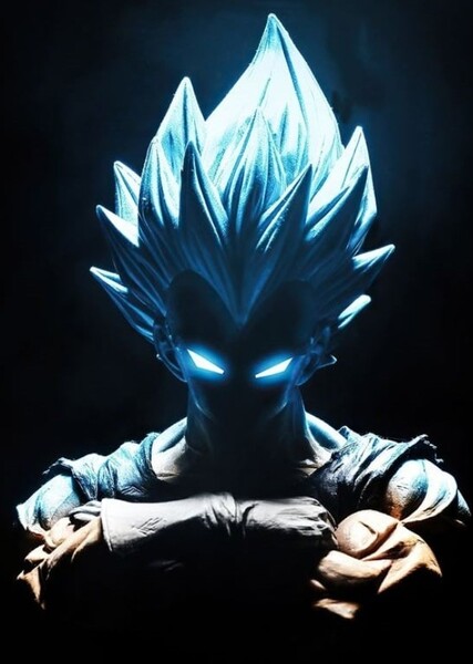 Vegeta photo