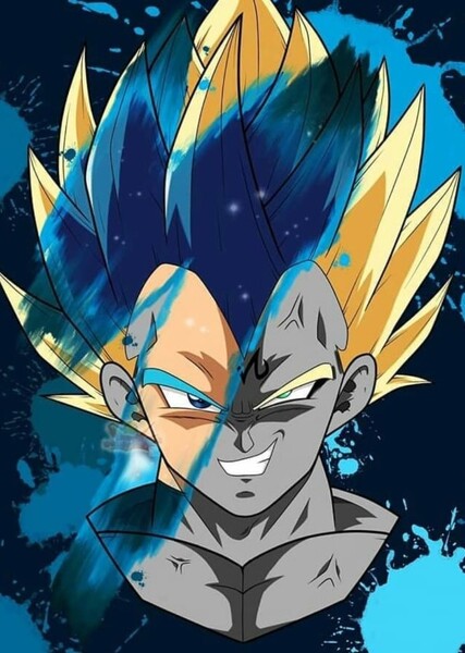 Vegeta photo