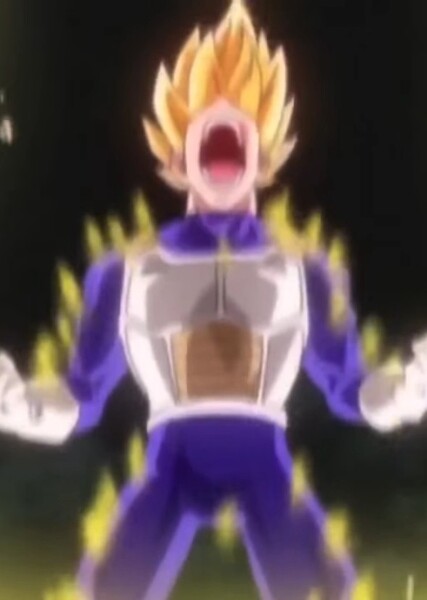 Vegeta photo