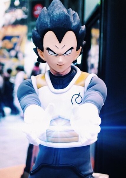 Vegeta photo